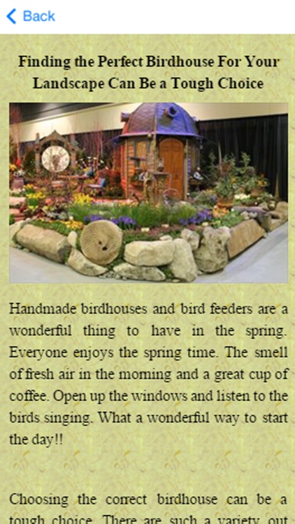 Build A Birdhouse Today