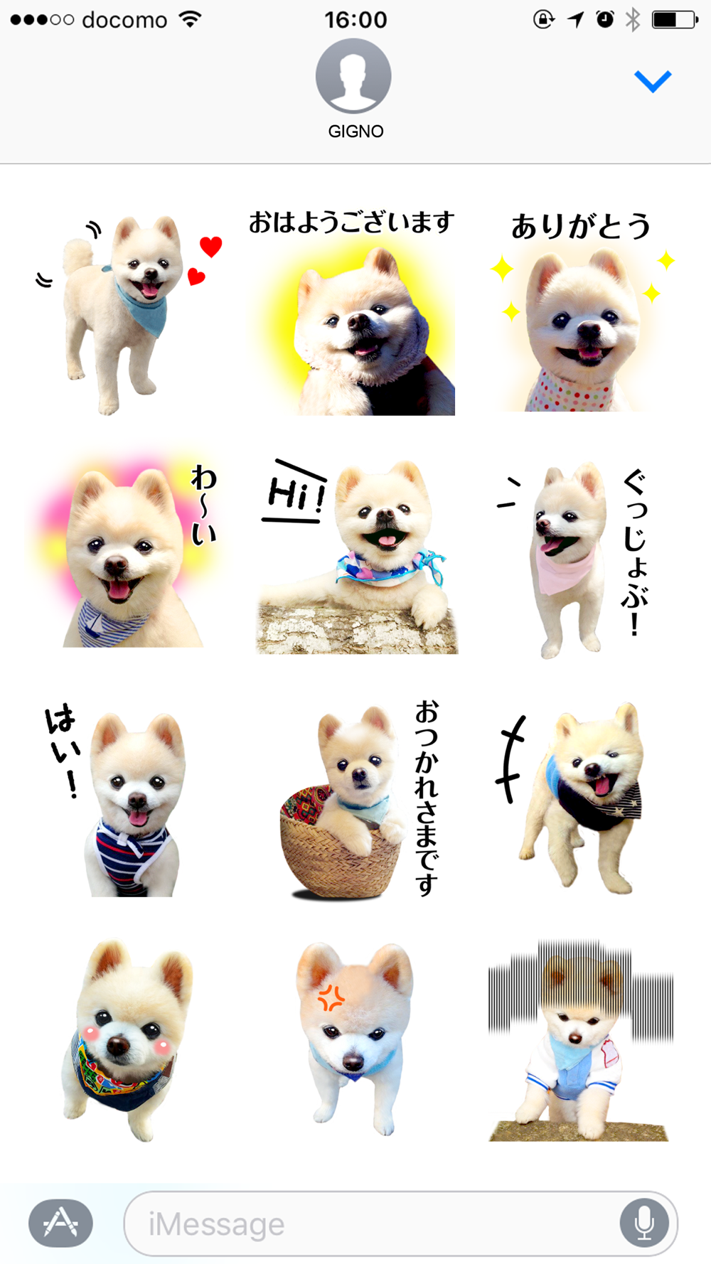 犬の俊介くん Download App For Iphone Steprimo Com