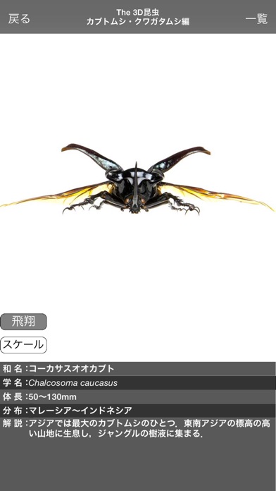 The 3D昆虫 I screenshot1