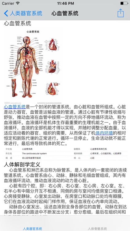 人类器官系统|人体骨骼构造大全