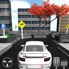 Activities of Car Parking Race 3D