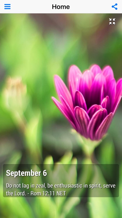 Daily Prayer Guide - Bible Devotional