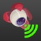 Stream the video from a DJI drone to a second mobile device with Litchi Vue