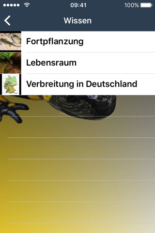 Feuersalamander in Hessen melden! screenshot 3