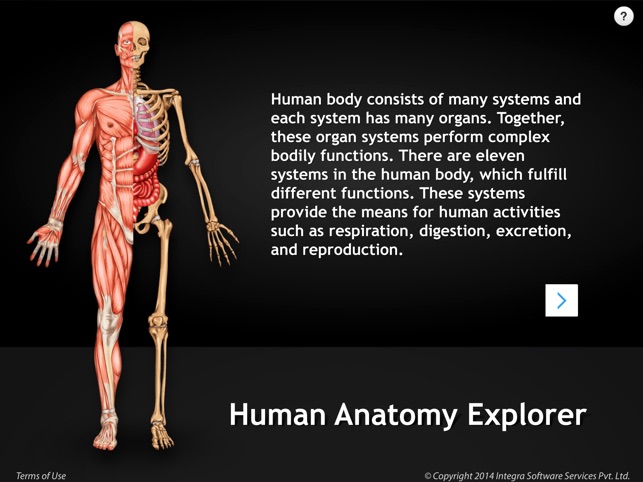 Human Anatomy Explorer Skeletal System(圖1)-速報App