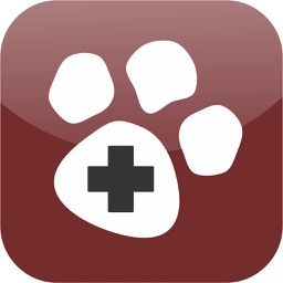 Veterinary Pet Health Report