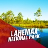 Lahemaa National Park Tourism Guide