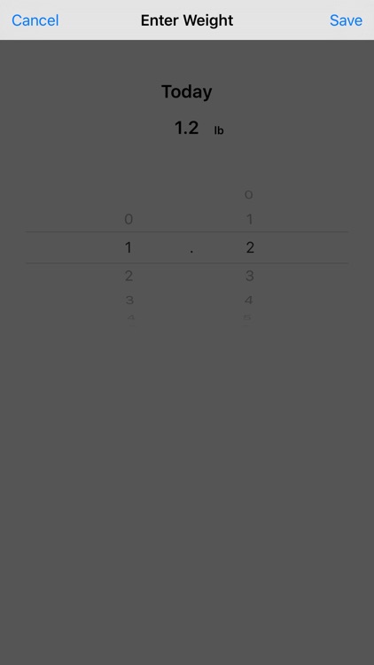 Kettlebell Fat Loss Workout screenshot-4