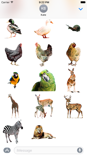 AddASticker Animals(圖2)-速報App