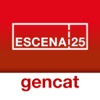 ESCENA 25