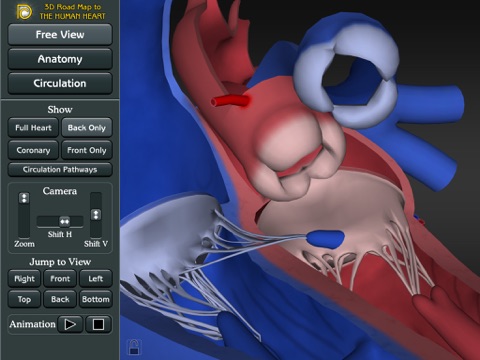 3D Road Map to the Human Heart screenshot 4
