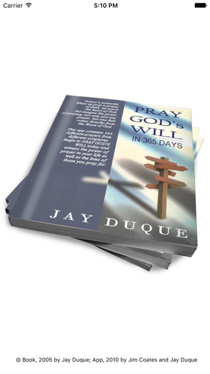Pray God's Will - In 365 Days