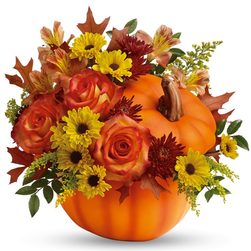 Autumn Flowers - Bouquets Stickers Pack icon