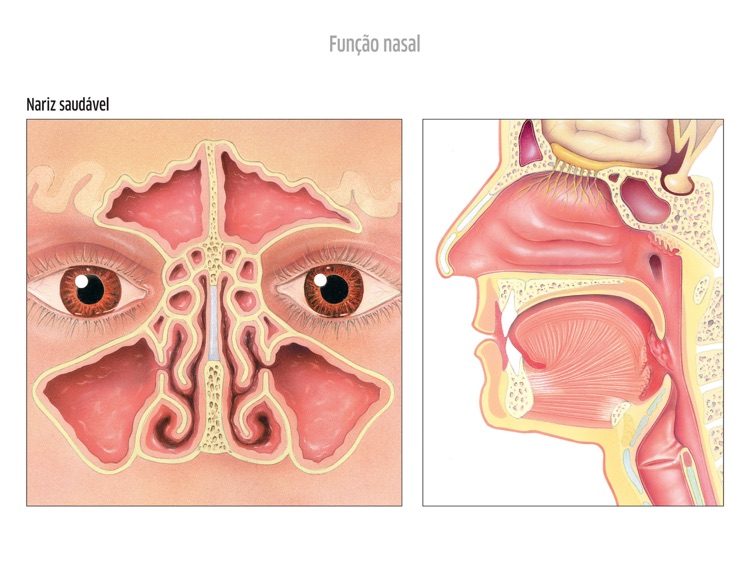 ORL Atlas GSK, iPad