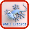Wall Lizards Premium
