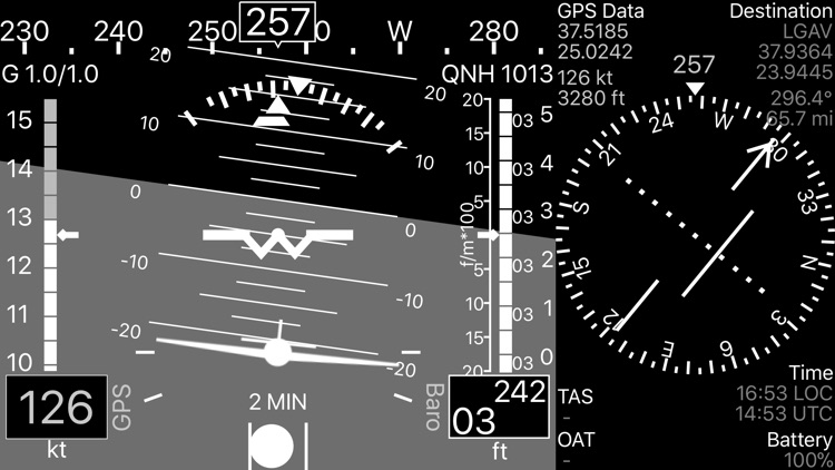A-EFIS Black and White screenshot-9