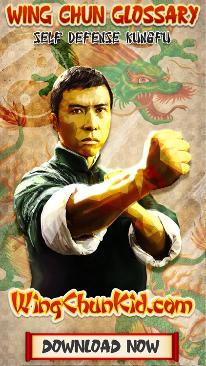 Wing Chun Kung Fu - Y-ip Man 3 Striking Style