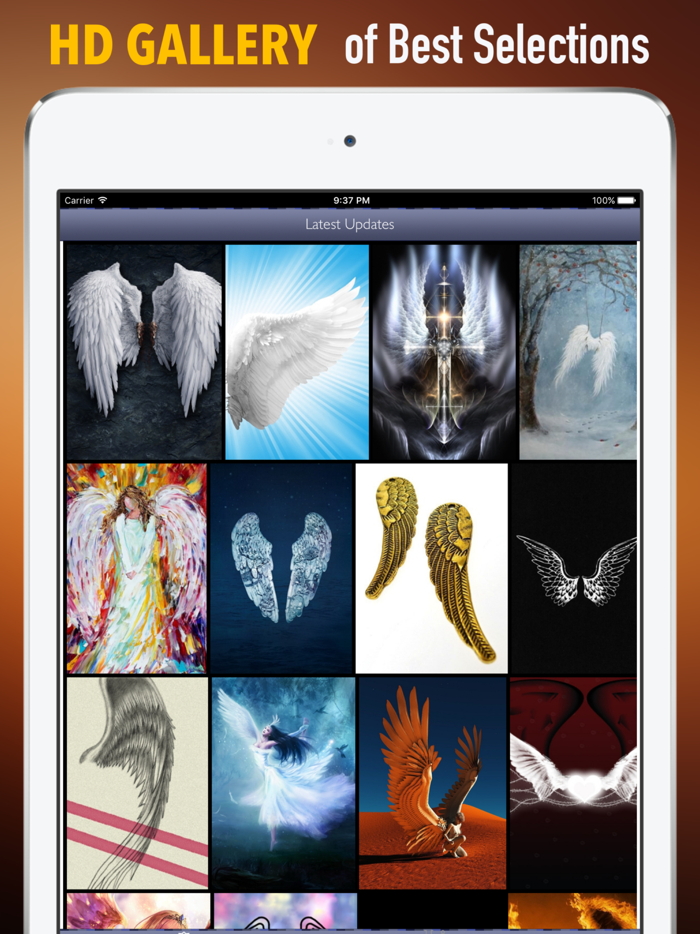 天使的翅膀高清壁纸收藏图库：个性名言主题背景