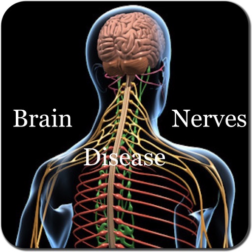 Brain and Nerves Disease Icon