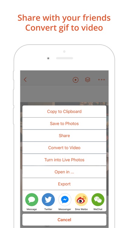 GIF Viewer - Animated GIF Player Album