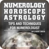 Numerology Horoscope Astrology Tips and Techniques for Numerologist - Ank Jyotishi Lalkitab