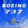 737宝典