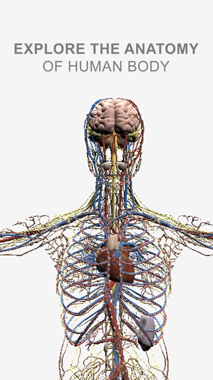 Explain 3D: Human body