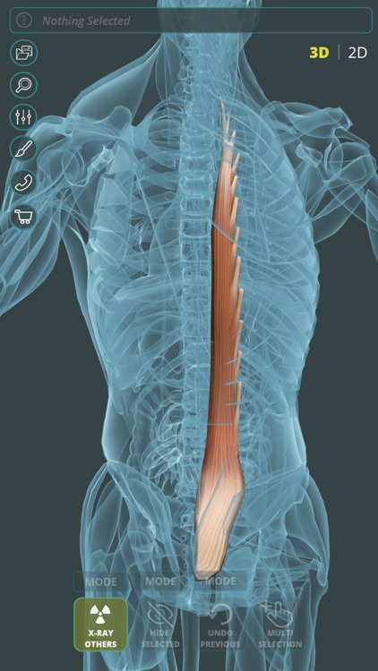 Visual Anatomy 3D | Human screenshot-4