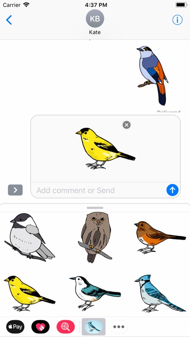 Tropical Bird Stickers screenshot 3