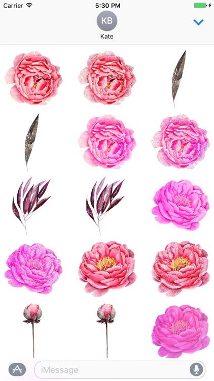 Love Peonies