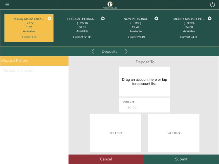 Pineland Bank for iPad screenshot-3