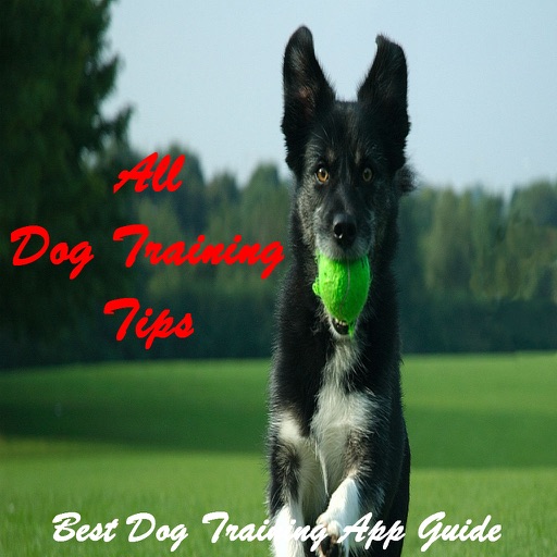 All Dog Training Tips and Tricks icon