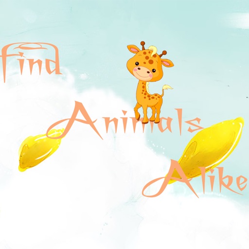 Find Animals Alike Icon