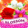 Blossom Splash Mania - Fun Flower Blast