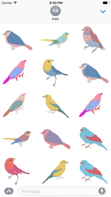 Hipster Birds