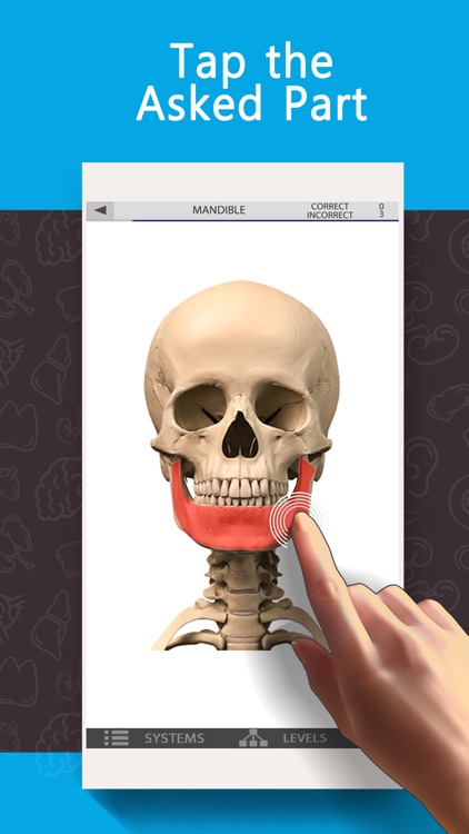 Anatomy Game Anatomicus Lite screenshot-3