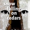 Quick Wisdom from Snow Falling on Cedars