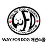 Way for Dog 애견스쿨