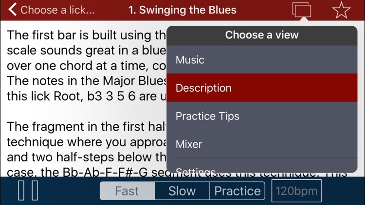 Matt Warnock Guitar : 101 Jazz Guitar Licks
