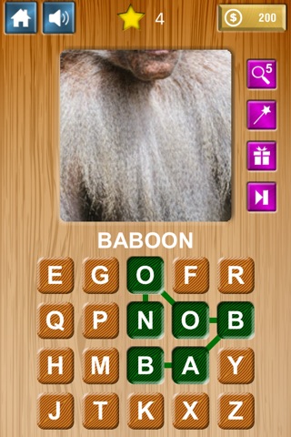 Zoom & Hidden Word - Animals Edition screenshot 4