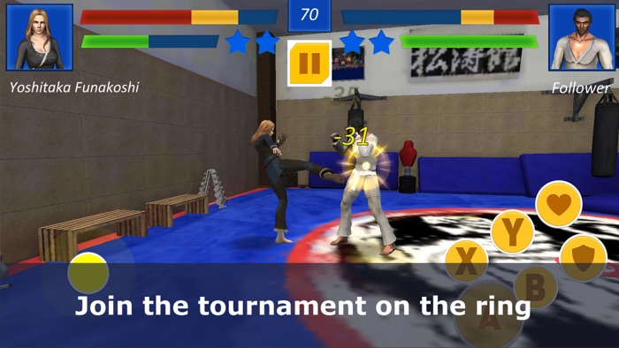 Shotokan Karate Ninja Fighting