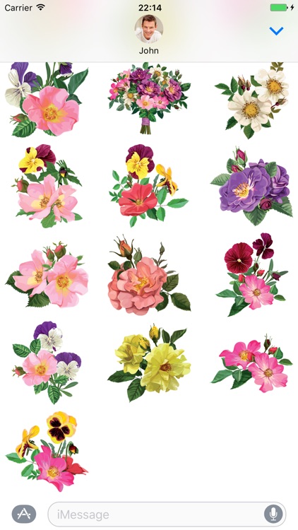 Pansy Flowers - Stickers for iMessage