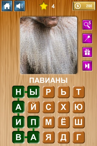 Zoom & Hidden Word - Animals Edition screenshot 4