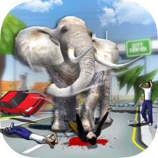 Activities of Elephant Simulator!