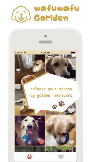 Wafuwafu - The Media App Featuring Golden Retrieve(圖1)-速報App