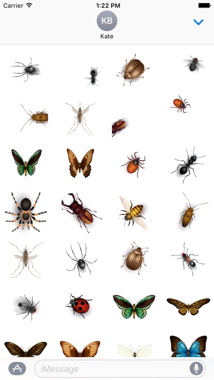 Insect Stickers