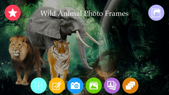 Wild Animal Photo Frames & Photo Editor