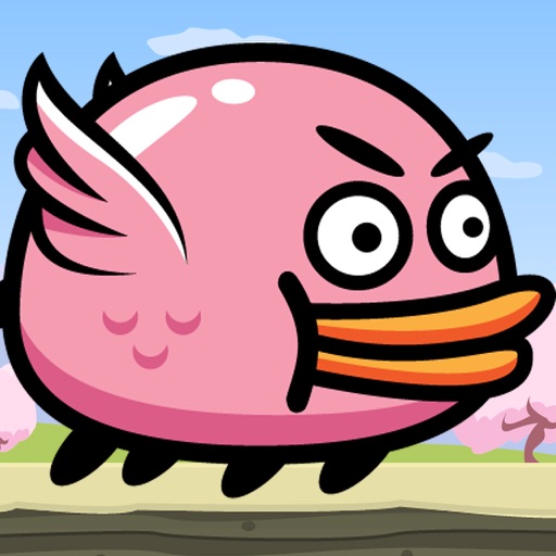 Pink Birdy iOS App