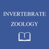 Invertebrate zoology dictionary - flashcard
