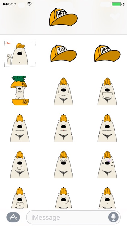 Polar Bear faces sticker